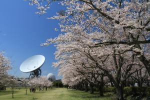 さくら宇宙公園に関するページ