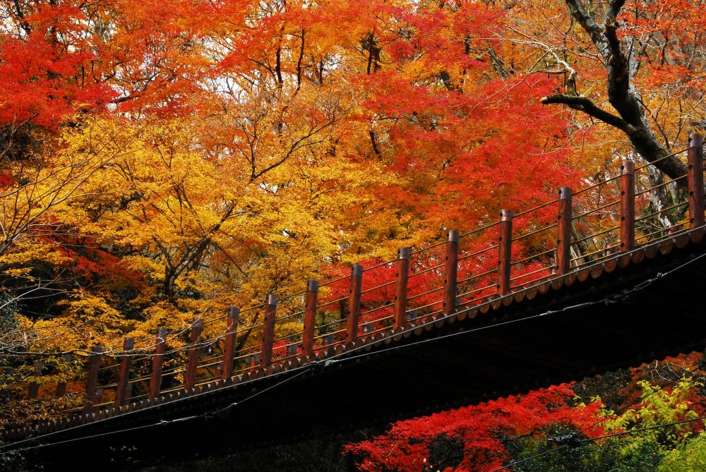 汐見滝吊り橋(花貫渓谷)に関するページ