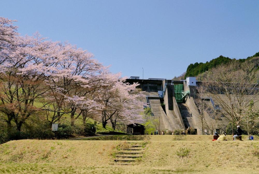 花貫さくら公園に関するページ