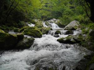 春の花貫渓谷その１ 小