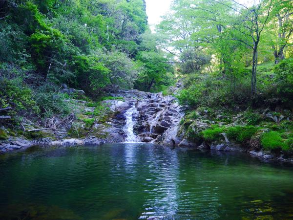 名馬里ヶ淵春