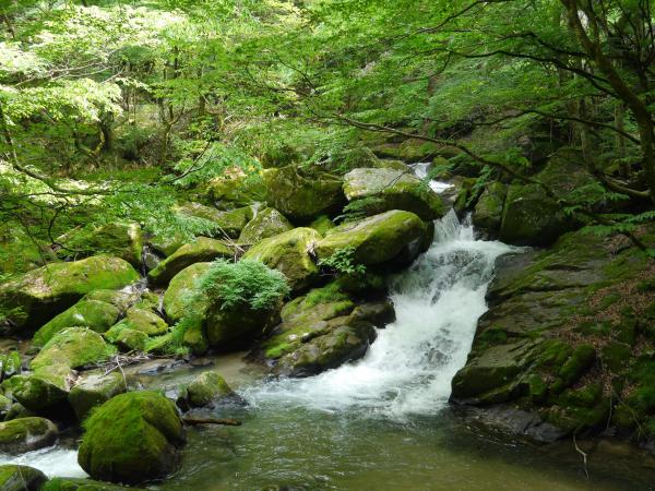 滝山渓谷