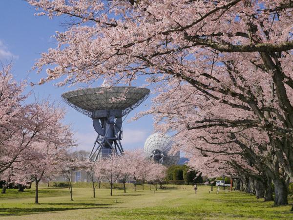 さくら宇宙公園２