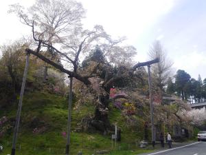 松岩寺